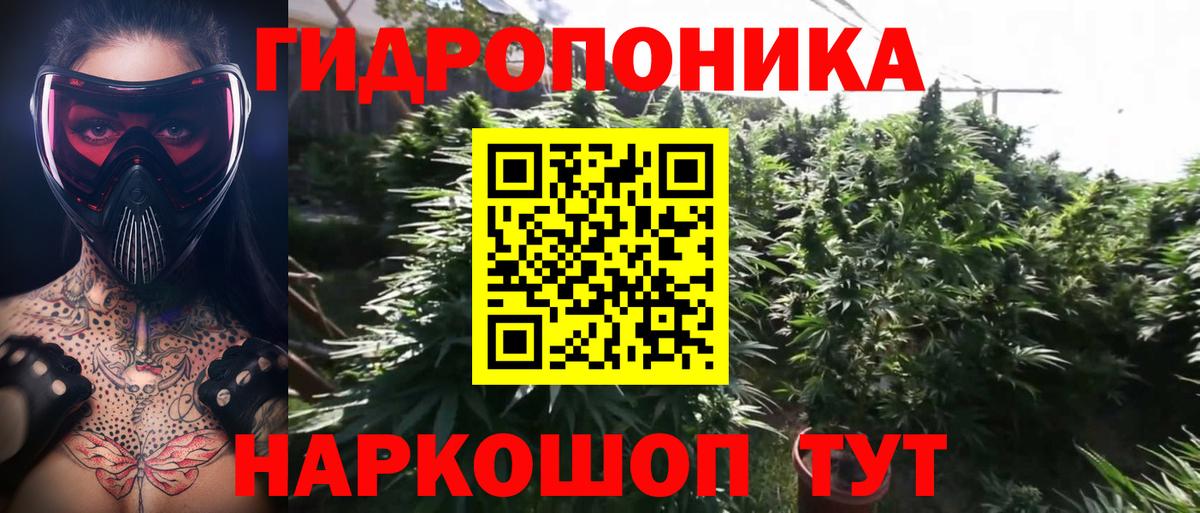 Канабис конопля Полысаево